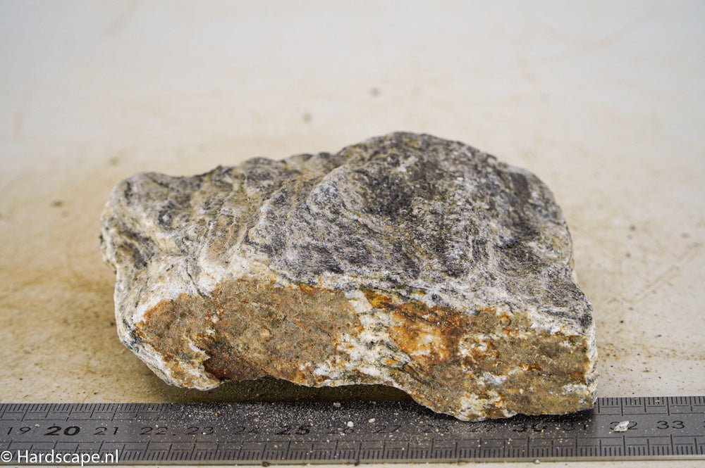 Glimmer Wood Rock M37 - Hardscape.nl