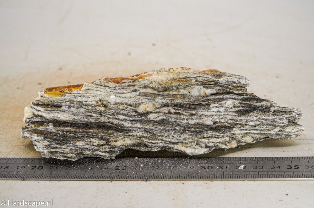 Glimmer Wood Rock M38 - Hardscape.nl