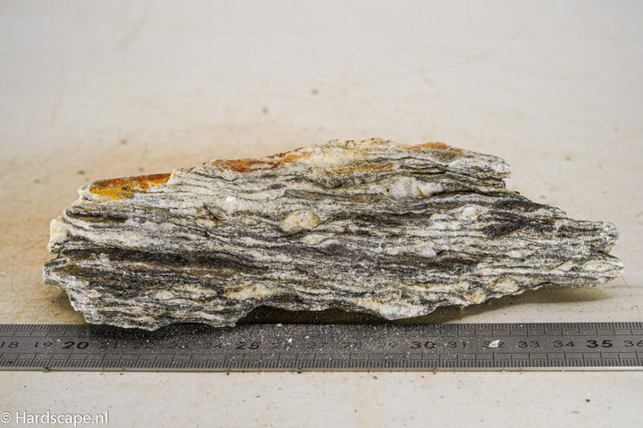 Glimmer Wood Rock M38 - Hardscape.nl