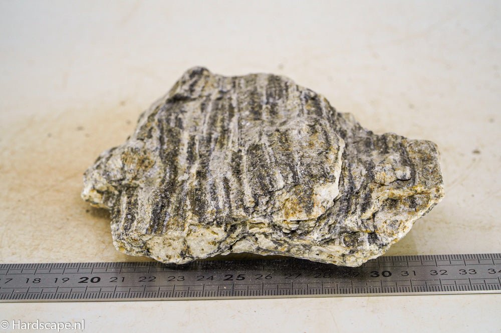 Glimmer Wood Rock M44 - Hardscape.nl