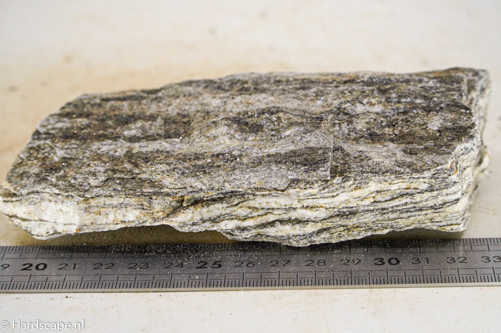 Glimmer Wood Rock M45 - Hardscape.nl