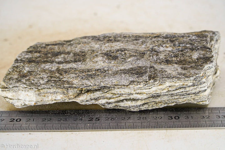Glimmer Wood Rock M45 - Hardscape.nl