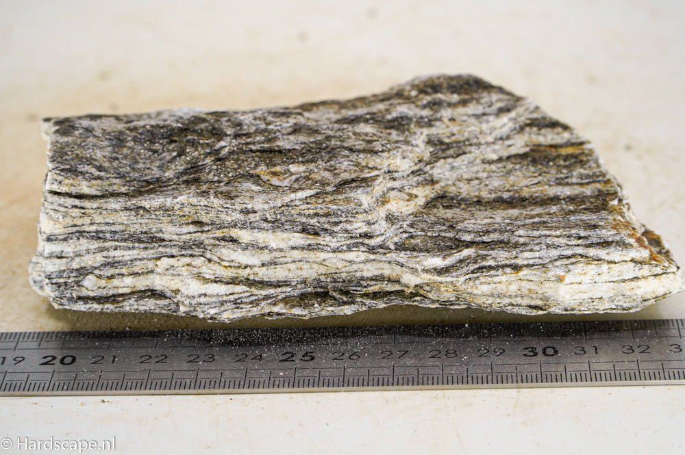 Glimmer Wood Rock M45 - Hardscape.nl