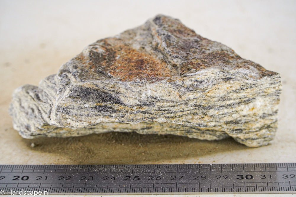 Glimmer Wood Rock M46 - Hardscape.nl