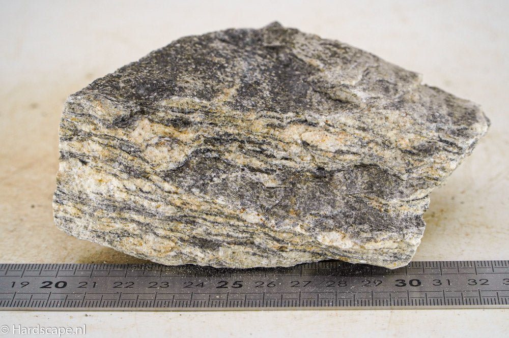 Glimmer Wood Rock M46 - Hardscape.nl