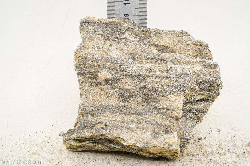 Glimmer Wood Rock M56 - Hardscape.nl