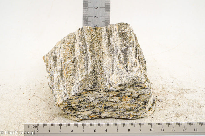 Glimmer Wood Rock M58 - Hardscape.nl