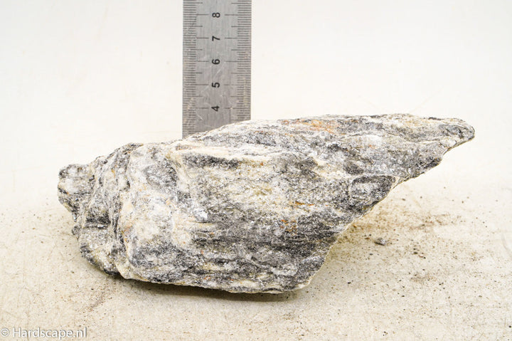 Glimmer Wood Rock M59 - Hardscape.nl