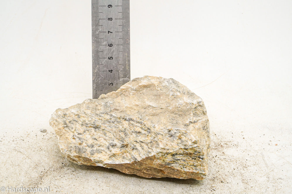 Glimmer Wood Rock M63 - Hardscape.nl