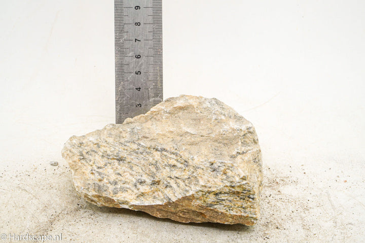 Glimmer Wood Rock M63 - Hardscape.nl