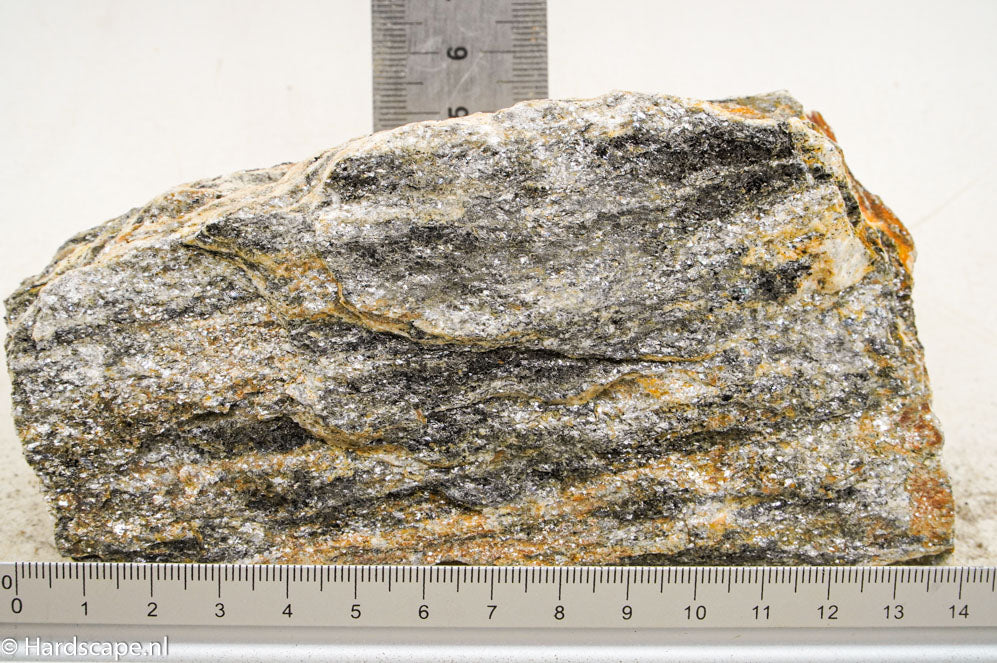 Glimmer Wood Rock M64 - Hardscape.nl