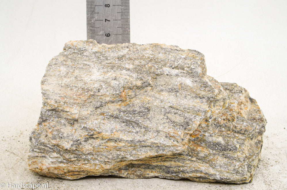Glimmer Wood Rock M64 - Hardscape.nl