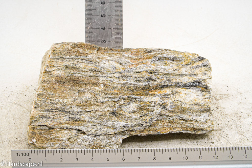 Glimmer Wood Rock M65 - Hardscape.nl