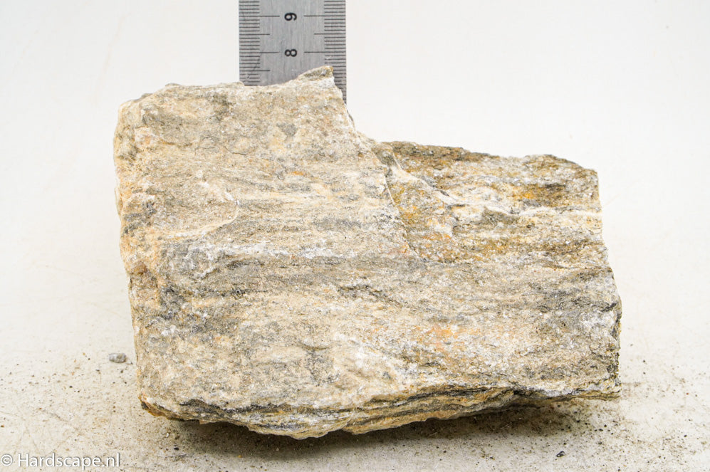 Glimmer Wood Rock M65 - Hardscape.nl