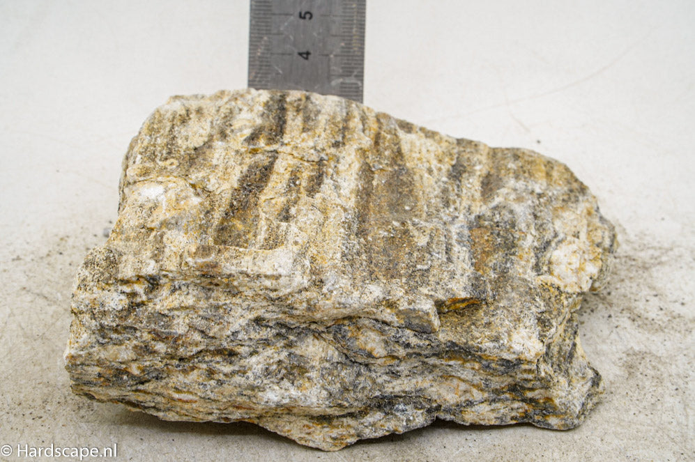 Glimmer Wood Rock M70 - Hardscape.nl