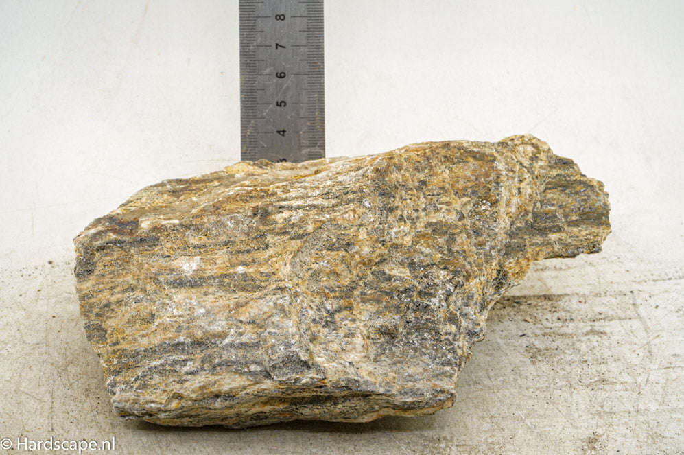 Glimmer Wood Rock M75 - Hardscape.nl