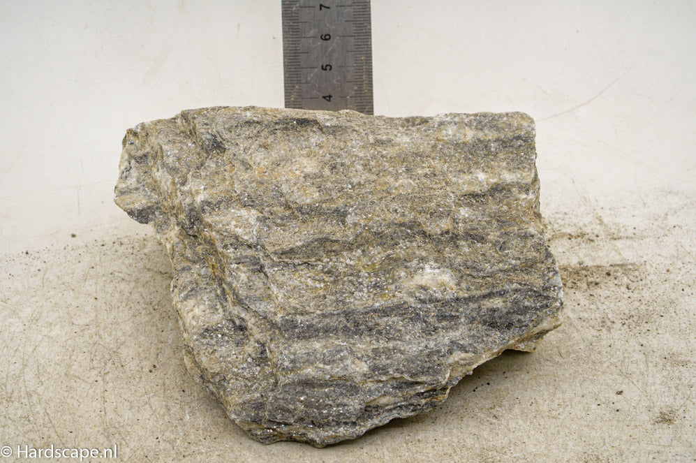 Glimmer Wood Rock M81 - Hardscape.nl