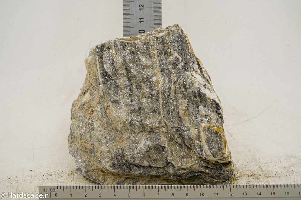 Glimmer Wood Rock M81 - Hardscape.nl