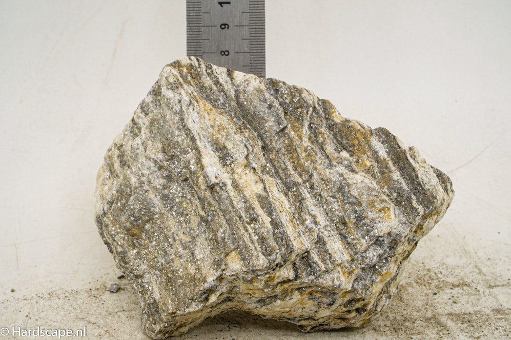 Glimmer Wood Rock M87 - Hardscape.nl