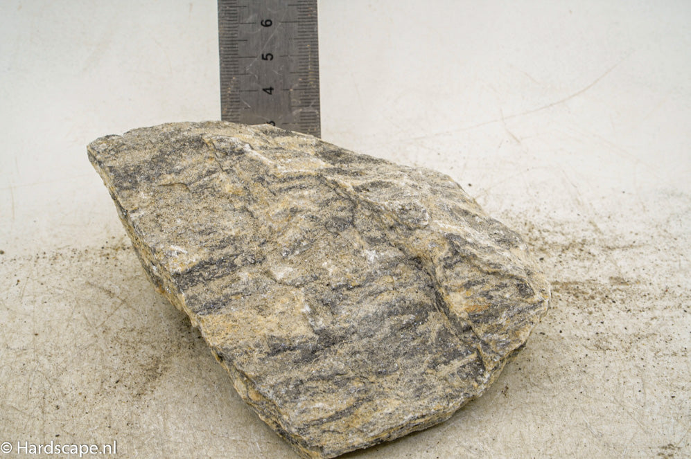 Glimmer Wood Rock M91 - Hardscape.nl