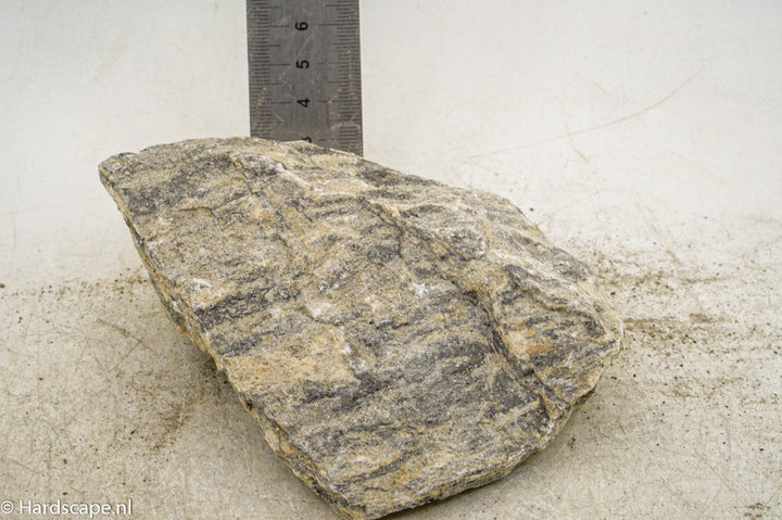 Glimmer Wood Rock M91 - Hardscape.nl