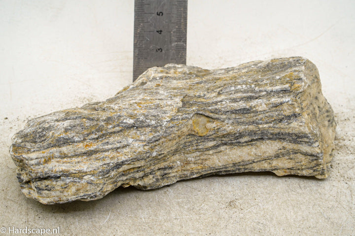 Glimmer Wood Rock M97 - Hardscape.nl