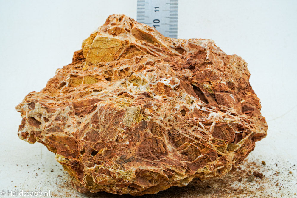 Maple Leaf Rock M26 - Hardscape.nl