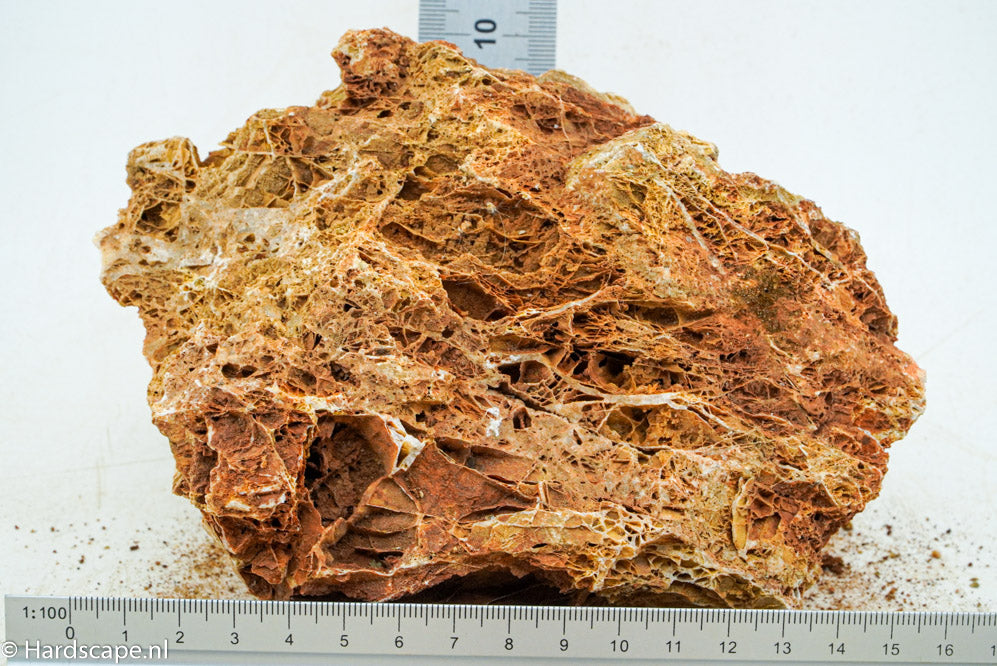 Maple Leaf Rock M26 - Hardscape.nl