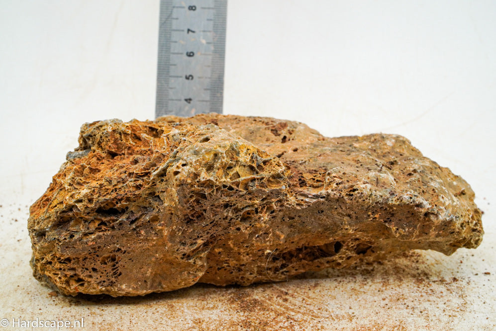 Maple Leaf Rock M28 - Hardscape.nl