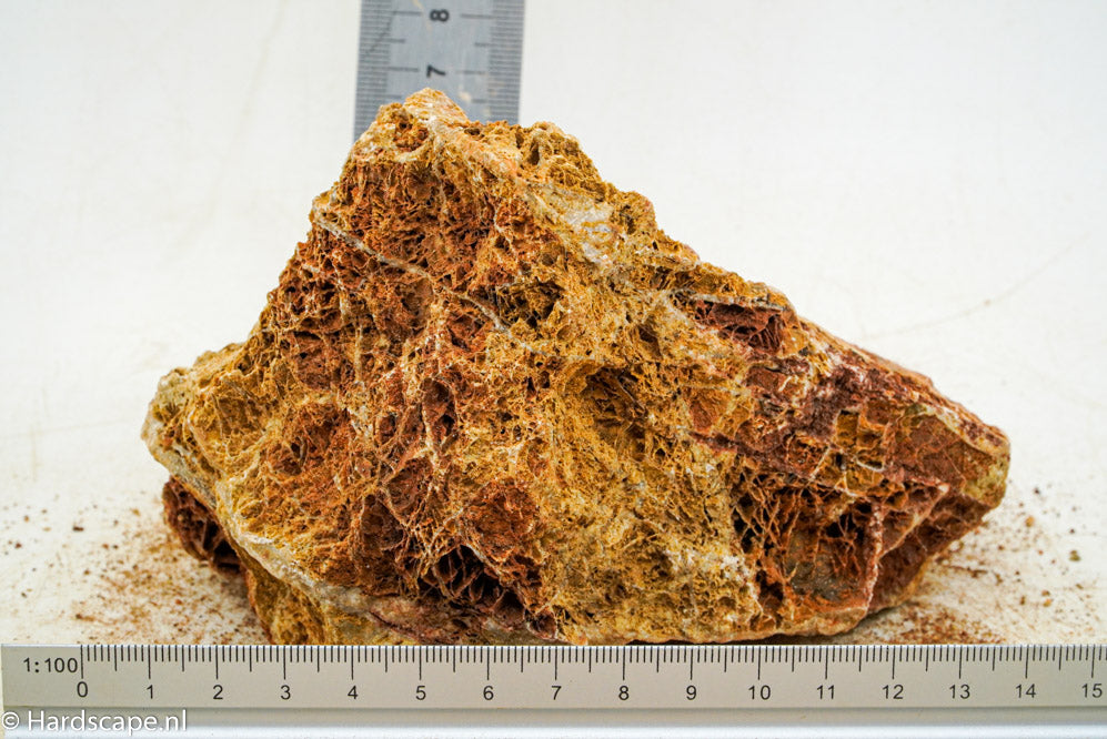 Maple Leaf Rock M29 - Hardscape.nl