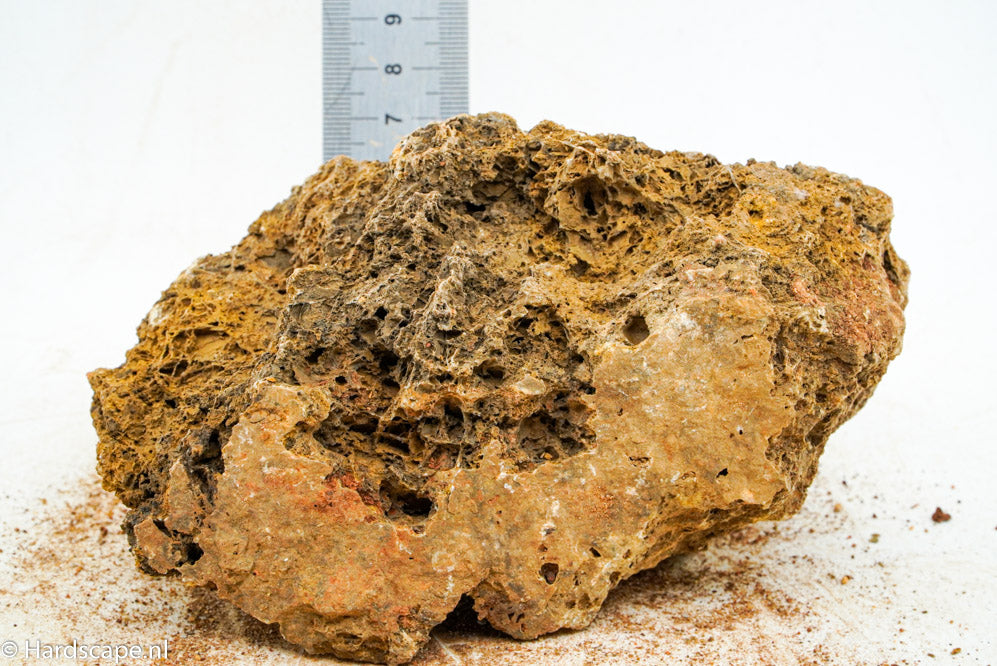 Maple Leaf Rock M30 - Hardscape.nl