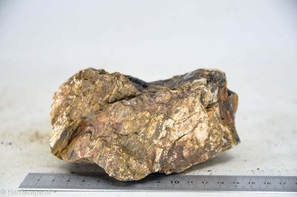 Petrified Wood M50 - Hardscape.nl