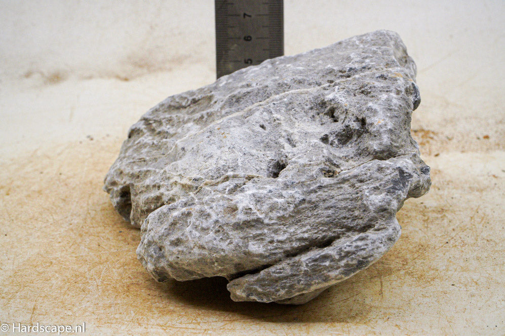 Seiryu Rock M61 - Hardscape.nl