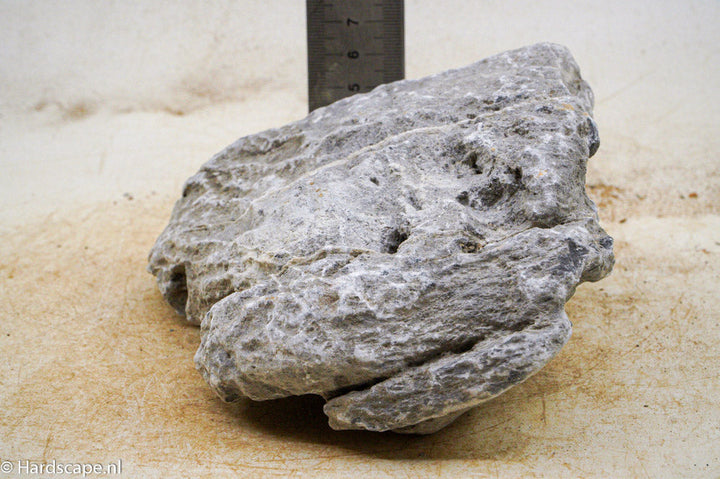 Seiryu Rock M61 - Hardscape.nl