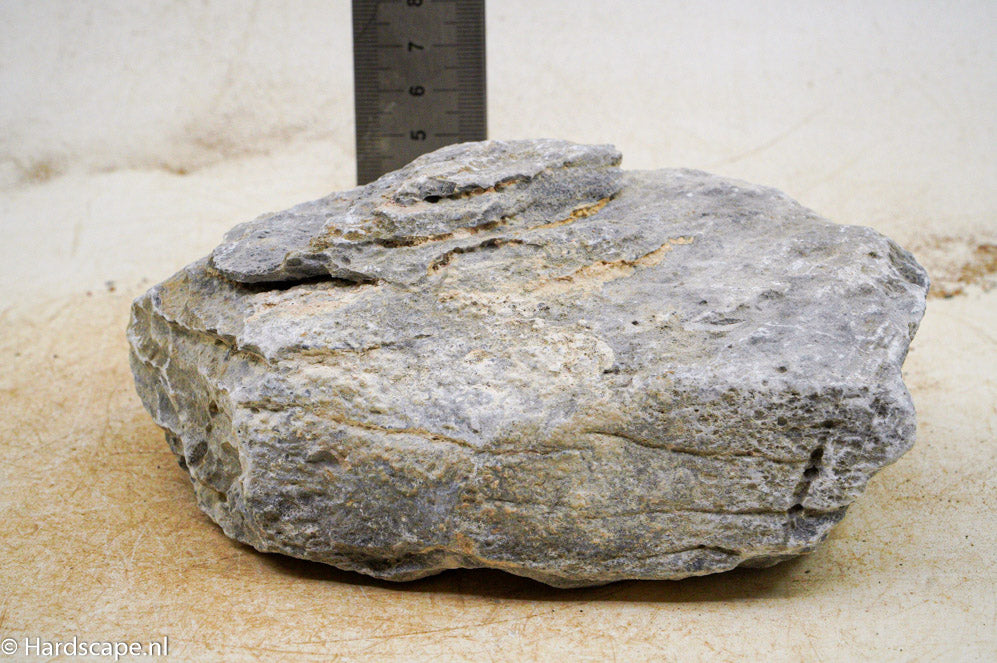Seiryu Rock M62 - Hardscape.nl