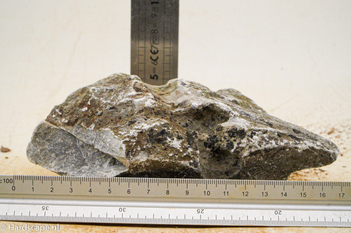Seiryu Rock M72 - Hardscape.nl