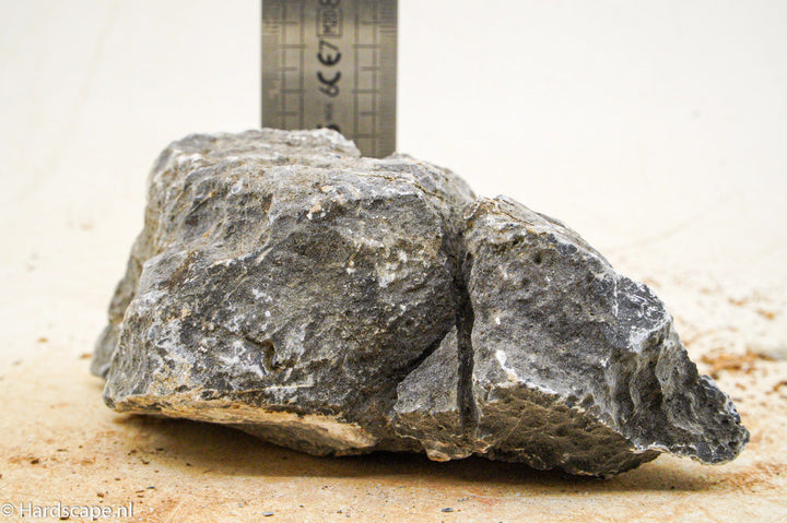 Seiryu Rock M79 - Hardscape.nl