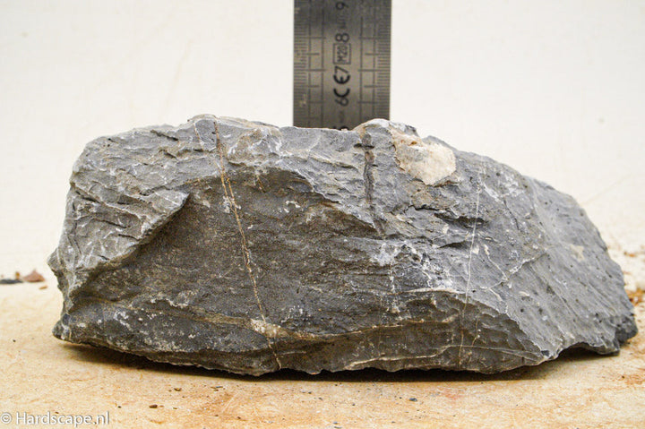 Seiryu Rock M80 - Hardscape.nl