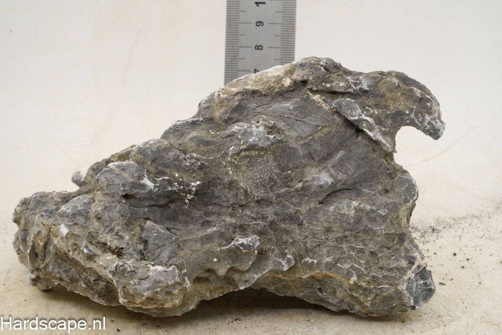 Seiryu Rock M91 - Hardscape.nl