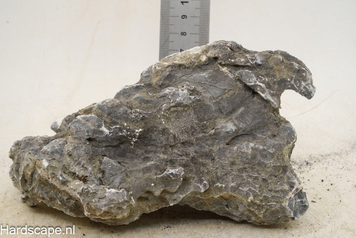 Seiryu Rock M91 - Hardscape.nl