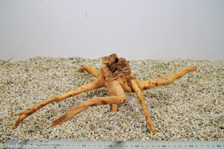 Spiderwood M86 - Hardscape.nl