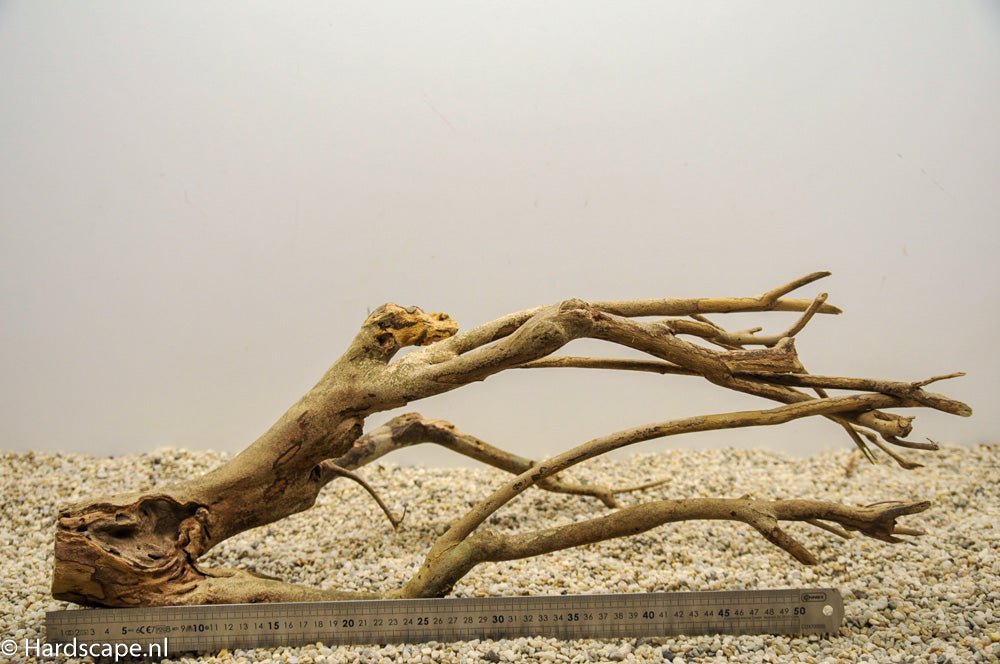 Talawa Wood 117 - Hardscape.nl