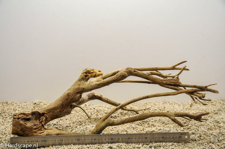 Talawa Wood 117 - Hardscape.nl