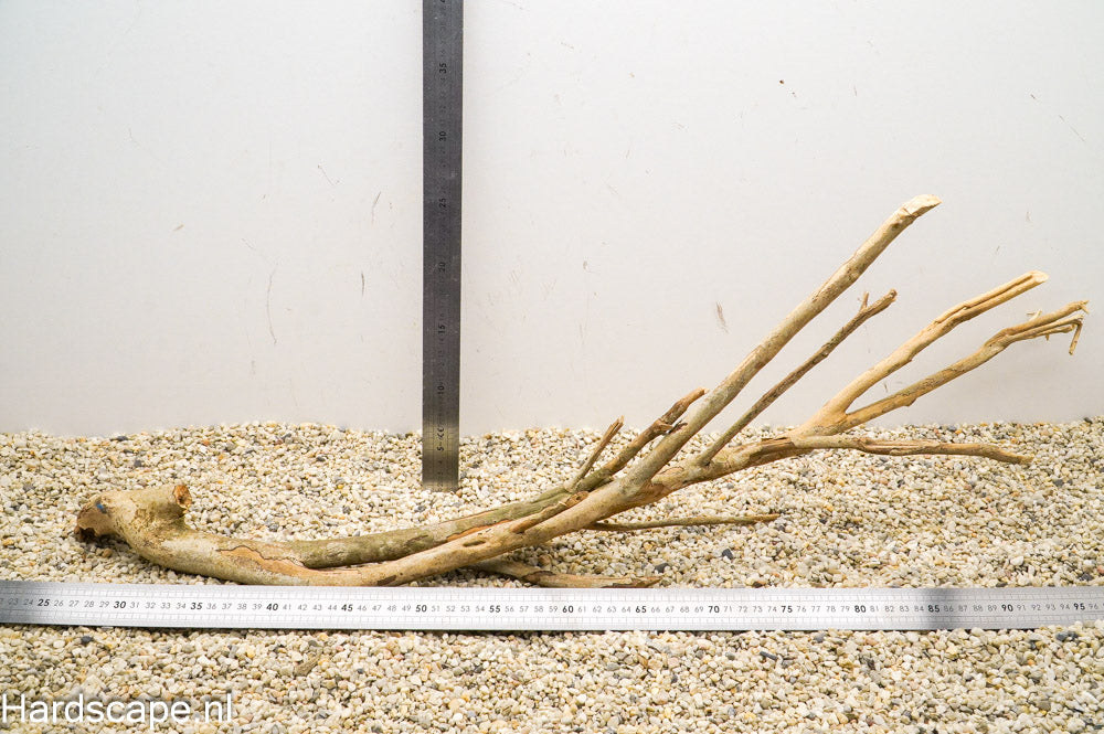 Talawa Wood 144 - Hardscape.nl