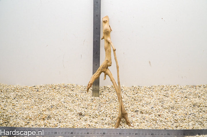 Talawa Wood 148 - Hardscape.nl