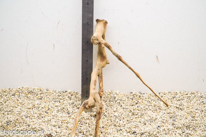 Talawa Wood 149 - Hardscape.nl