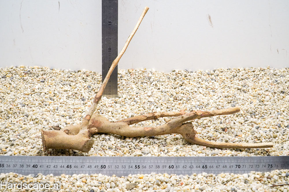 Talawa Wood 149 - Hardscape.nl
