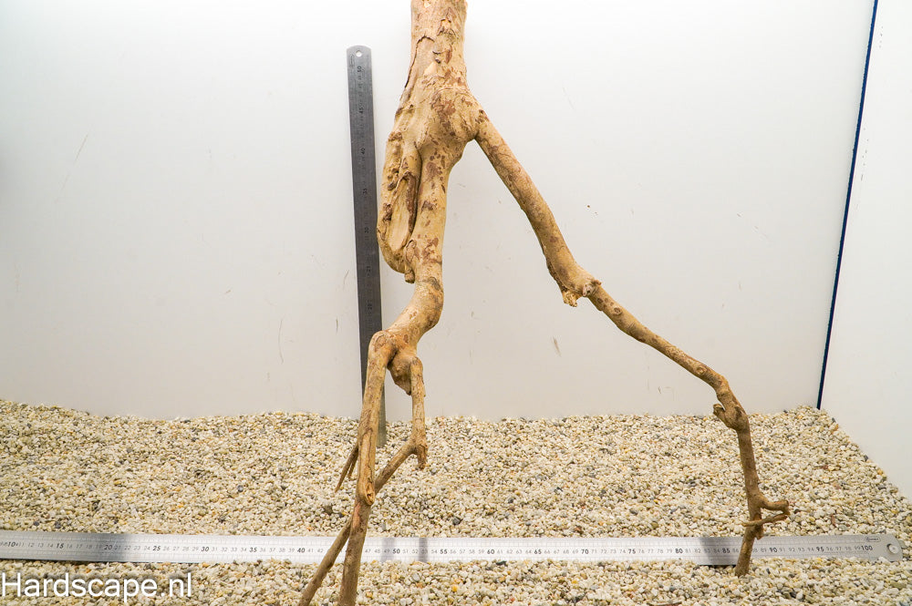 Talawa Wood 158 - Hardscape.nl
