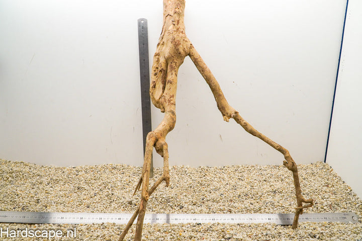 Talawa Wood 158 - Hardscape.nl