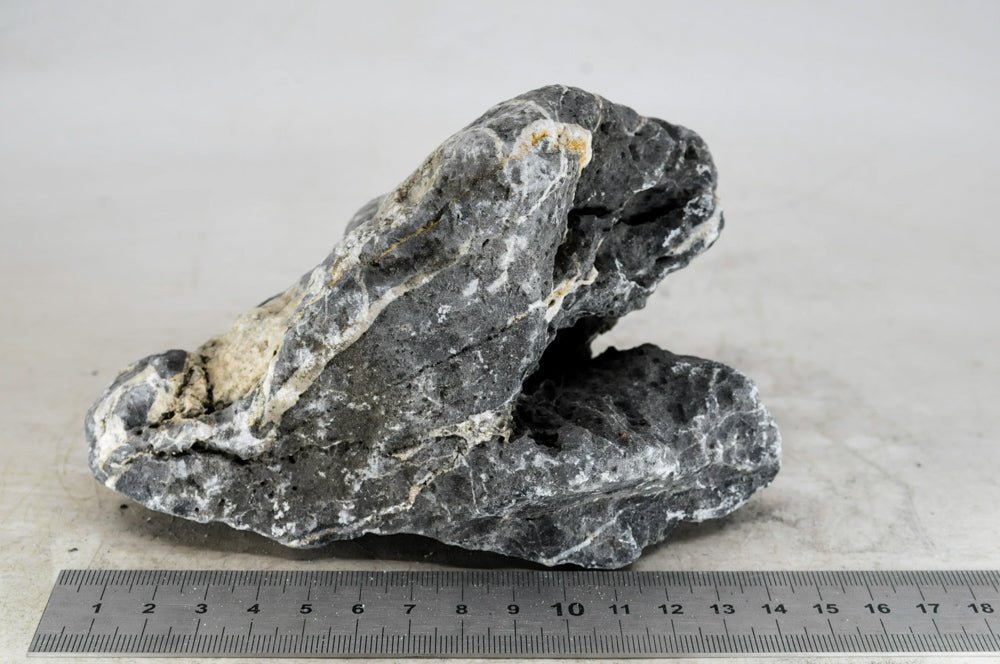 Dark Seiryu Rock S48 - Hardscape.nl